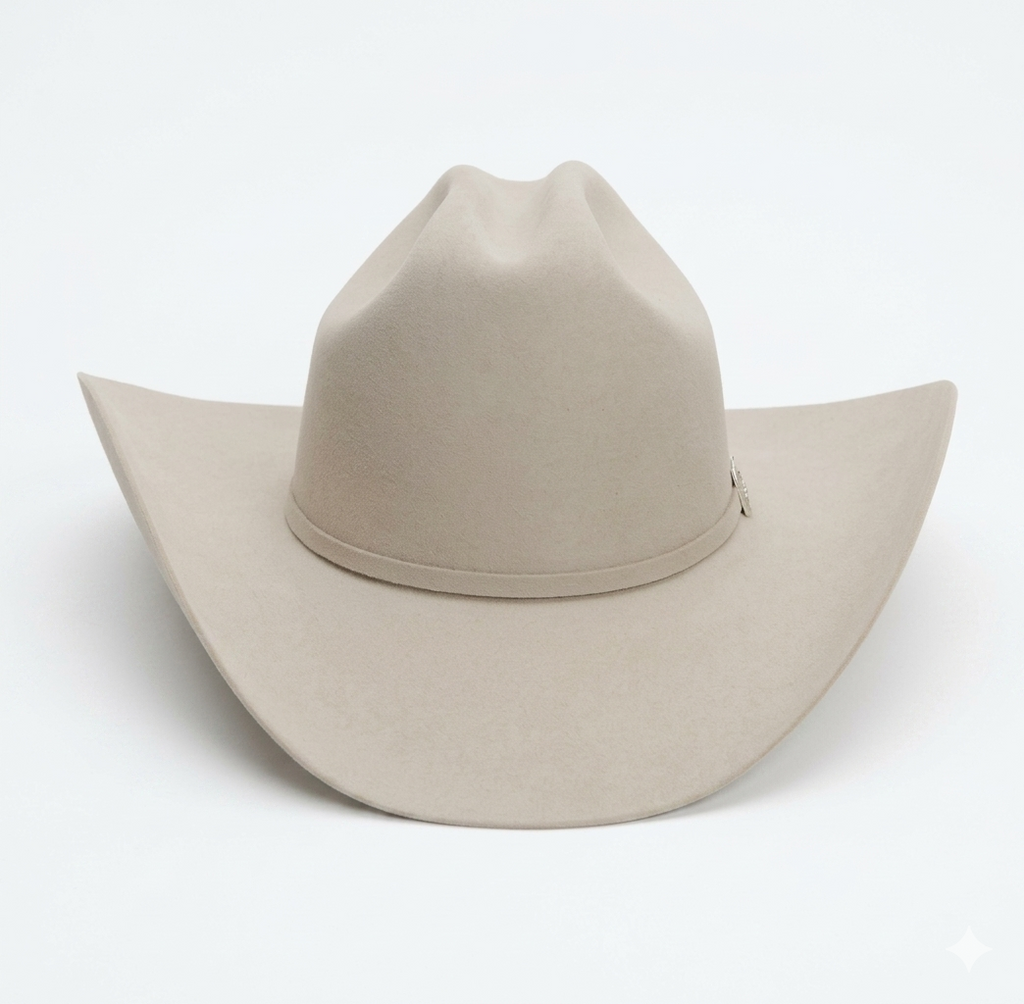 Stetson Skyline 6X Fur Felt Cowboy Hat – Texana Classic
